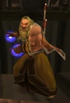 Winterskorn Rune-Seer