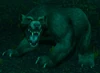 Great Bear Spirit
