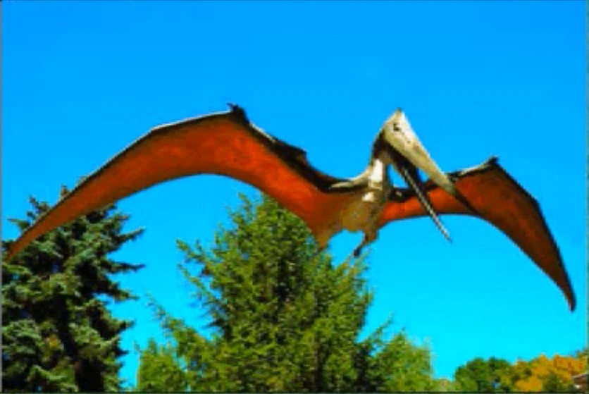 quetzalcoatlus dinosaur king