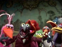 302 gonzo birds