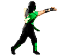 W333