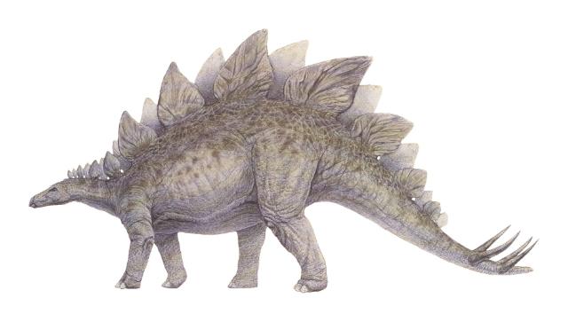 stegosaurus with horns