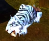 Mighty Frostsaber