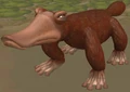 Anatinus.png