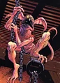 Salacious Crumb AOSWG2.jpg
