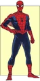 Spider-Man (Peter Benjamin Parker)