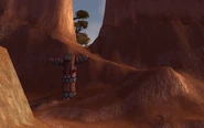 Highperch entrance