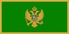 Green NTO Flag