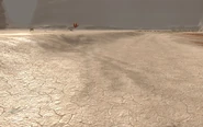 Shimmering Flats - Crash01