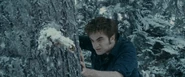 Edward push2