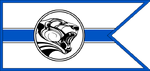 TIO-flag