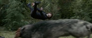 Alice jump4