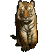 Item xiamentiger 01.gif