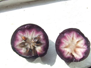 Star apples