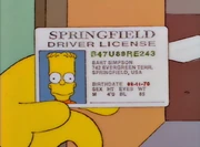 Bart-on-the-road