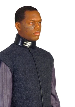 Bufon Taire.jpg