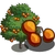 Persimmon Tree-icon.png