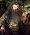 Rubeus Hagrid OOTP.jpg