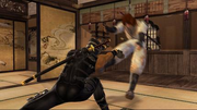 Ryu vs. Hayate