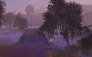 Swamp