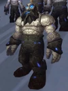 Oathbound Warder