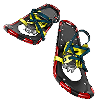 Huge item snowshoes 01.gif