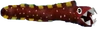 Unagi