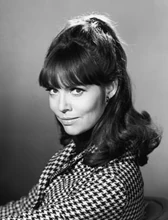 Barbara Feldon - Get Smart Wiki