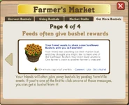 FMarket16