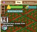 Lost dog 1