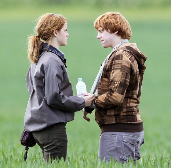 The Ron & Hermione Theory | Thefullfool's Blog