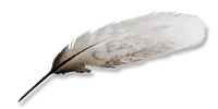 Feather AC2