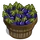Eggplant Bushel-icon