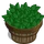 Basil Bushel-icon