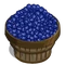 Blueberry Bushel-icon