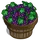 Grape Bushel-icon