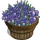 Iris Bushel-icon