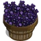 Lavender Bushel-icon
