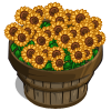 File:Sunflower Bushel-icon.png