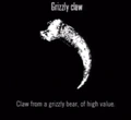 Animals Grizzly Claw.jpg
