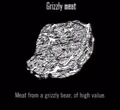 Animals Grizzly Meat.jpg