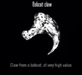 Animals Bobcat Claw.jpg