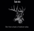 Animals Buck Skin.jpg