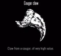Animals Cougar Claw.jpg