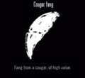 Animals Cougar Fang.jpg