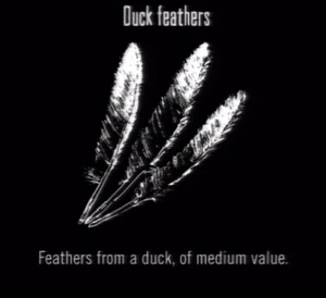 Animals Duck Feathers