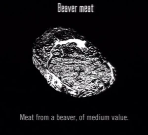 Animals Beaver Meat