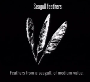Animals Seagull Feathers