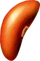Porov Nut