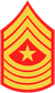 USMC-E9-SGM